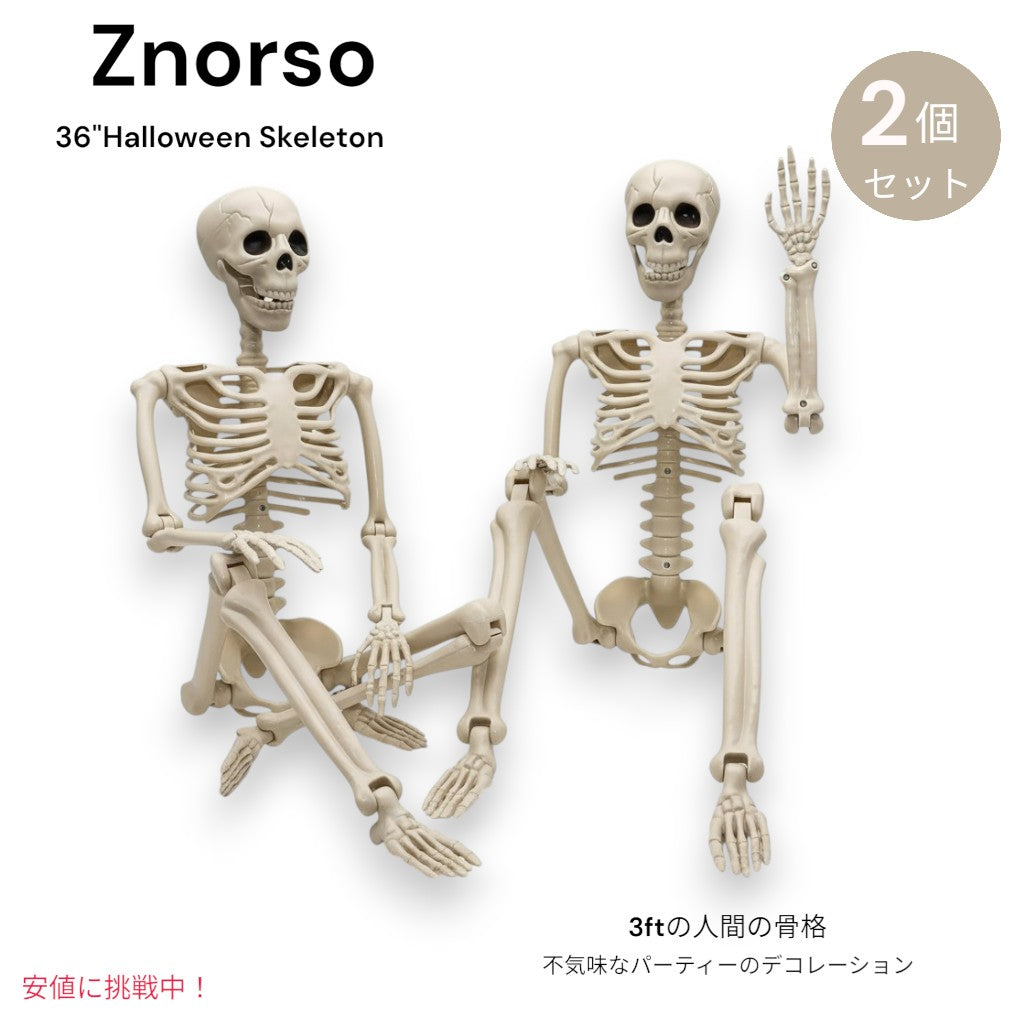 Znorso ハロウィン スケルトン 全身可動関節付き 人型スケルトン 3ft（約91cm） Halloween Skeleton w/ Full Body Posable Joints 2個パック 1