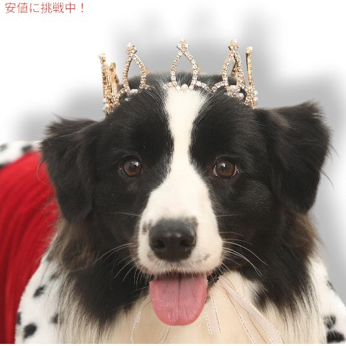 Lovelyshop ラブリーショップ Pet Series Gold Plated ロイヤルラインストーンパール クラウン (ヘアアクセサリー) - Large 1