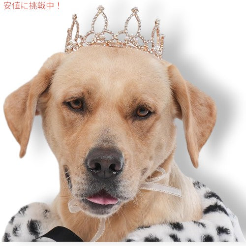 Lovelyshop ラブリーショップ Pet Series Gold Plated ロイヤルラインストーンパール クラウン (ヘアアクセサリー) - XLarge 1