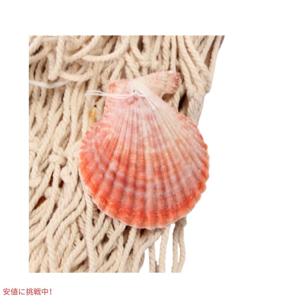Rosoz ロソズ ネイチャー 魚網 ウォールデコレーション 貝殻付き ベージュ Nature Fish Net Wall Decor with Shells Beige 5
