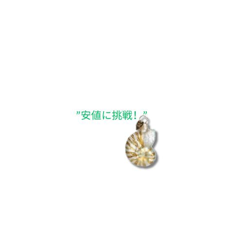 Old World Christmas Mini Ornamen ガラス吹きオーナメント クリスマスツリー用 各種シーシェルセット 3