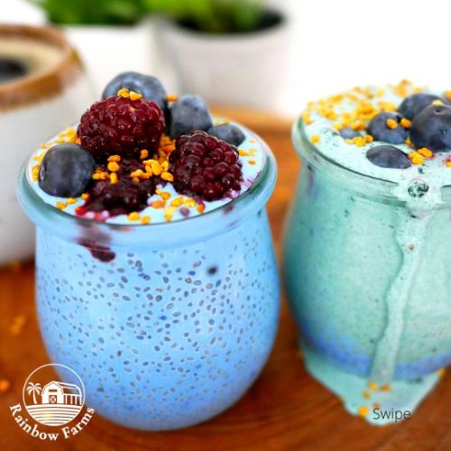 ブルースピルリナ Blue Spirulina 15g　無香料　無着色 遺伝子組み換え不使用 NON-GMO, Gluten Free, Vegan レインボーファームズ 2