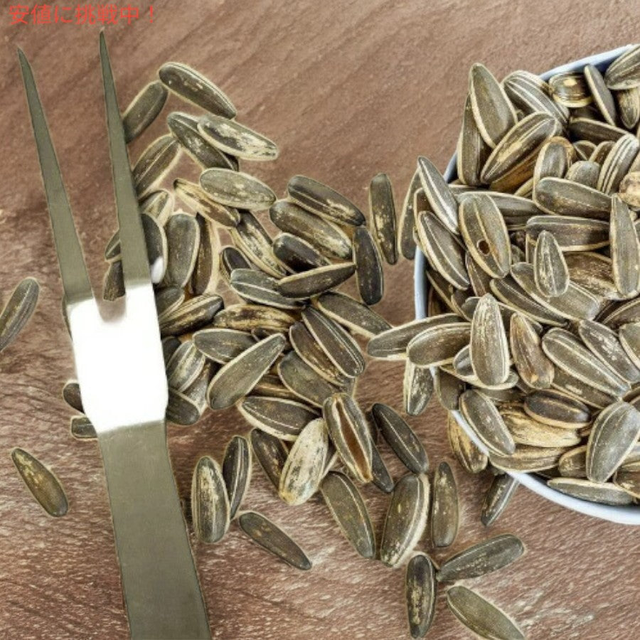 スピッツ サンフラワーシード ディル・ピクルス 9個入り Spitz Sunflower Seeds Dill Pickle 6oz 7
