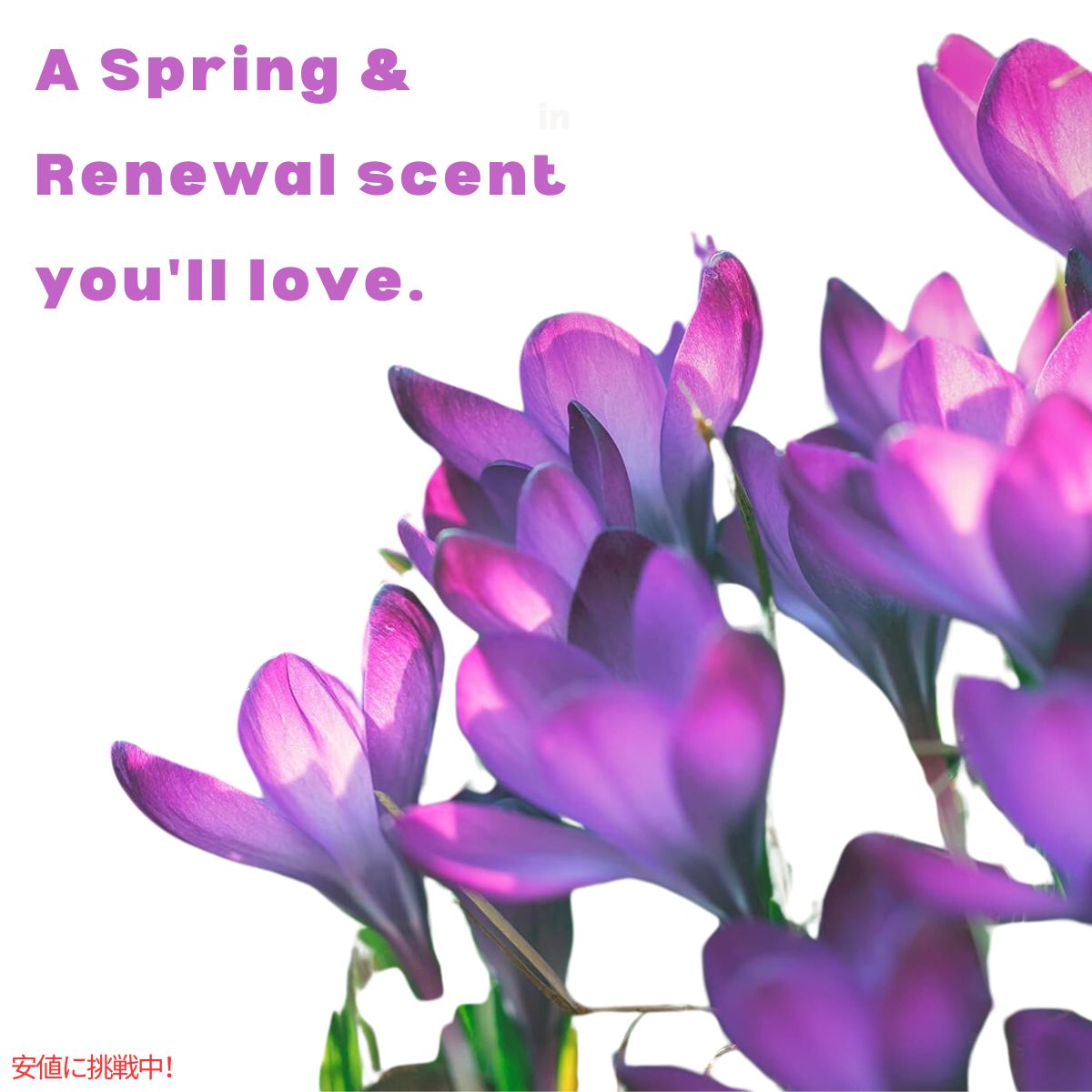 Tide タイド パワーポッド + ファブリーズ スプリング＆リニューアルの香り 45個 Tide Power PODs Spring & Renewal Scent 45 Count 4