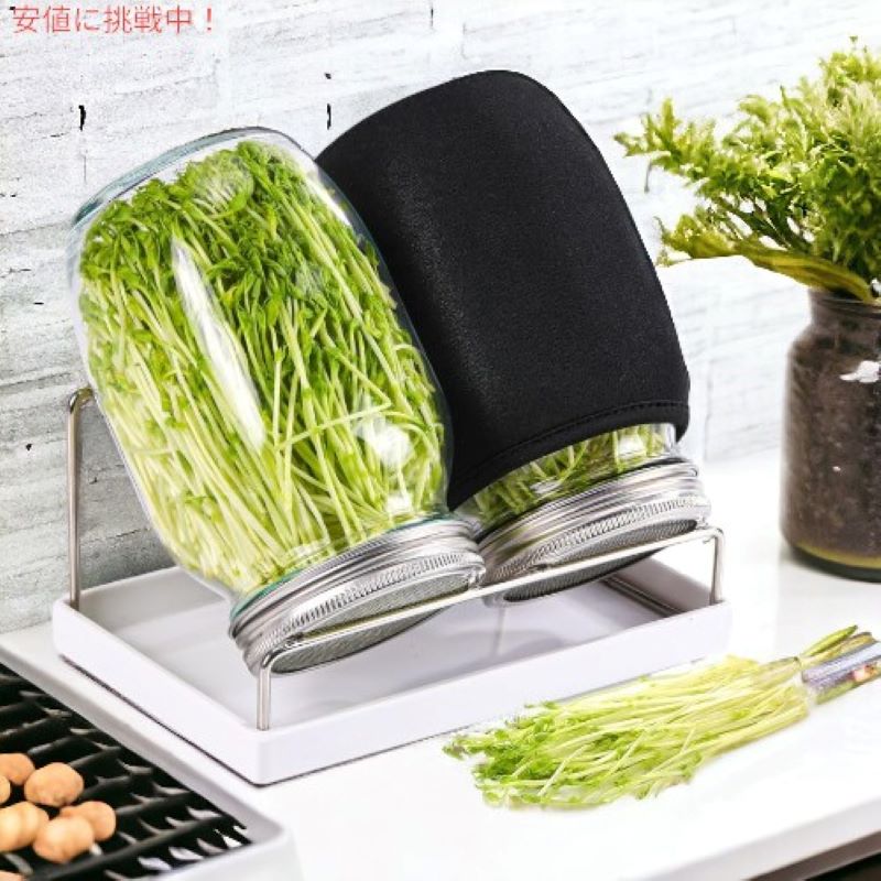 発芽ジャーキット Sprouting Jar Kit  大型広口メイソンジャー スクリーンスプラウト Boombamo （種は含まれていません） 3