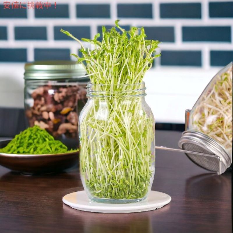 発芽ジャーキット Sprouting Jar Kit  大型広口メイソンジャー スクリーンスプラウト Boombamo （種は含まれていません） 6