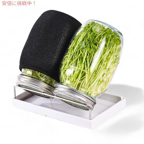 発芽ジャーキット Sprouting Jar Kit  大型広口メイソンジャー スクリーンスプラウト Boombamo （種は含まれていません） 7