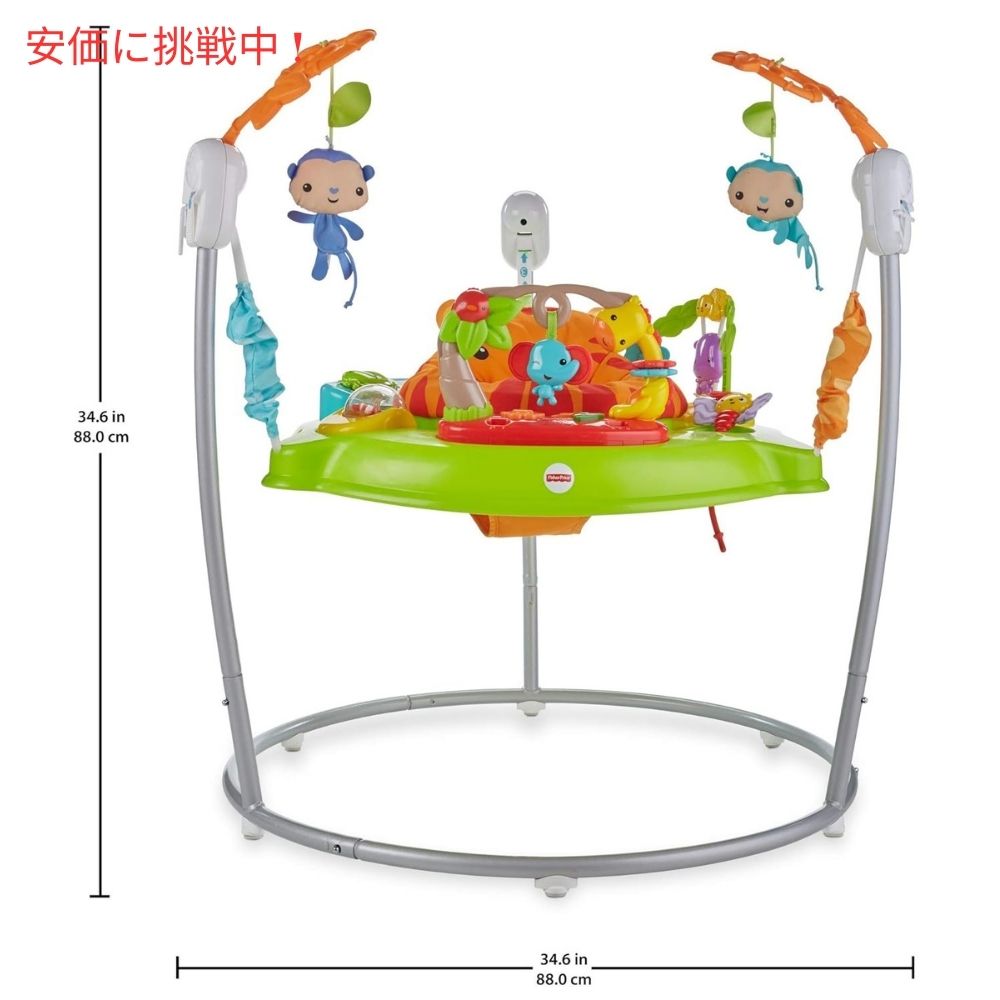 Fisher-Price フィッシャープライス ベビー タイガータイム ジャンパルー Baby Tiger Time Jumperoo 3