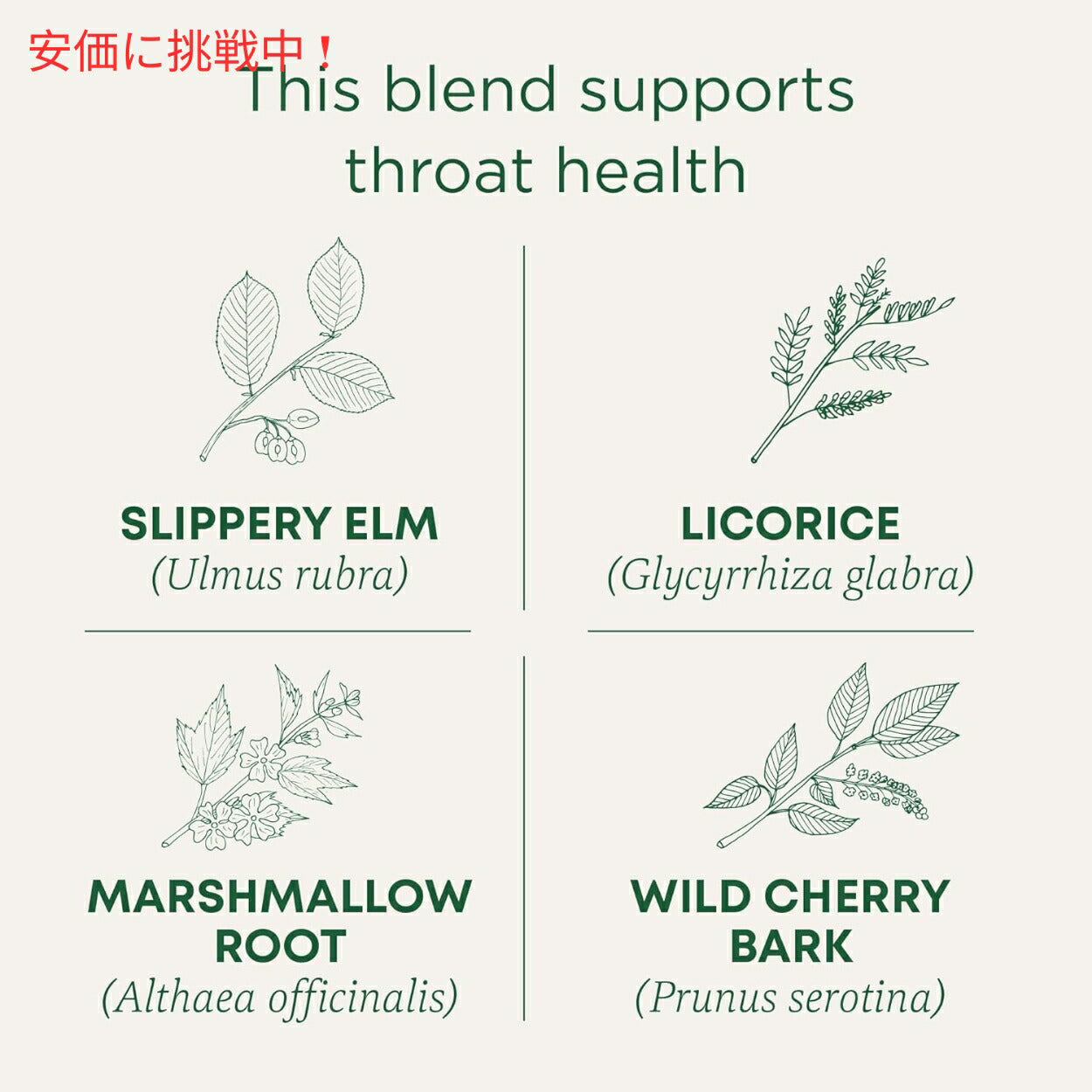 Traditional Medicinals トラディショナル・メディシナル  スロートコート ハーブティー 1箱16ティーバッグ入り 3