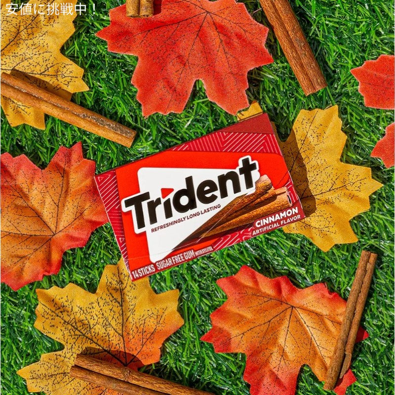 Trident トライデント Cinnamon Sugar Free Gum シナモン味 シュガーフリー 無糖 ガム  3パック入り（1パック 14個入り） 3