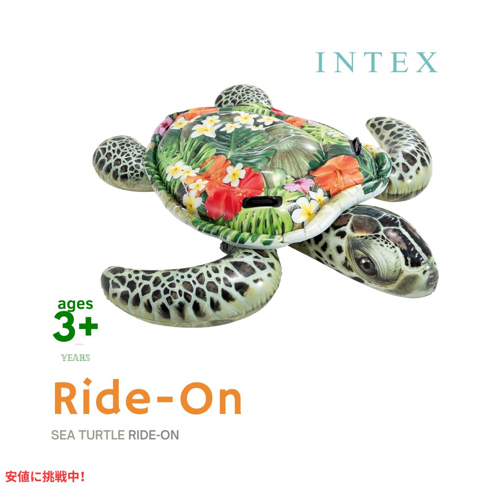 INTEX インフレータブル タートル グリーン INTEX Inflatable Turtle Green 4
