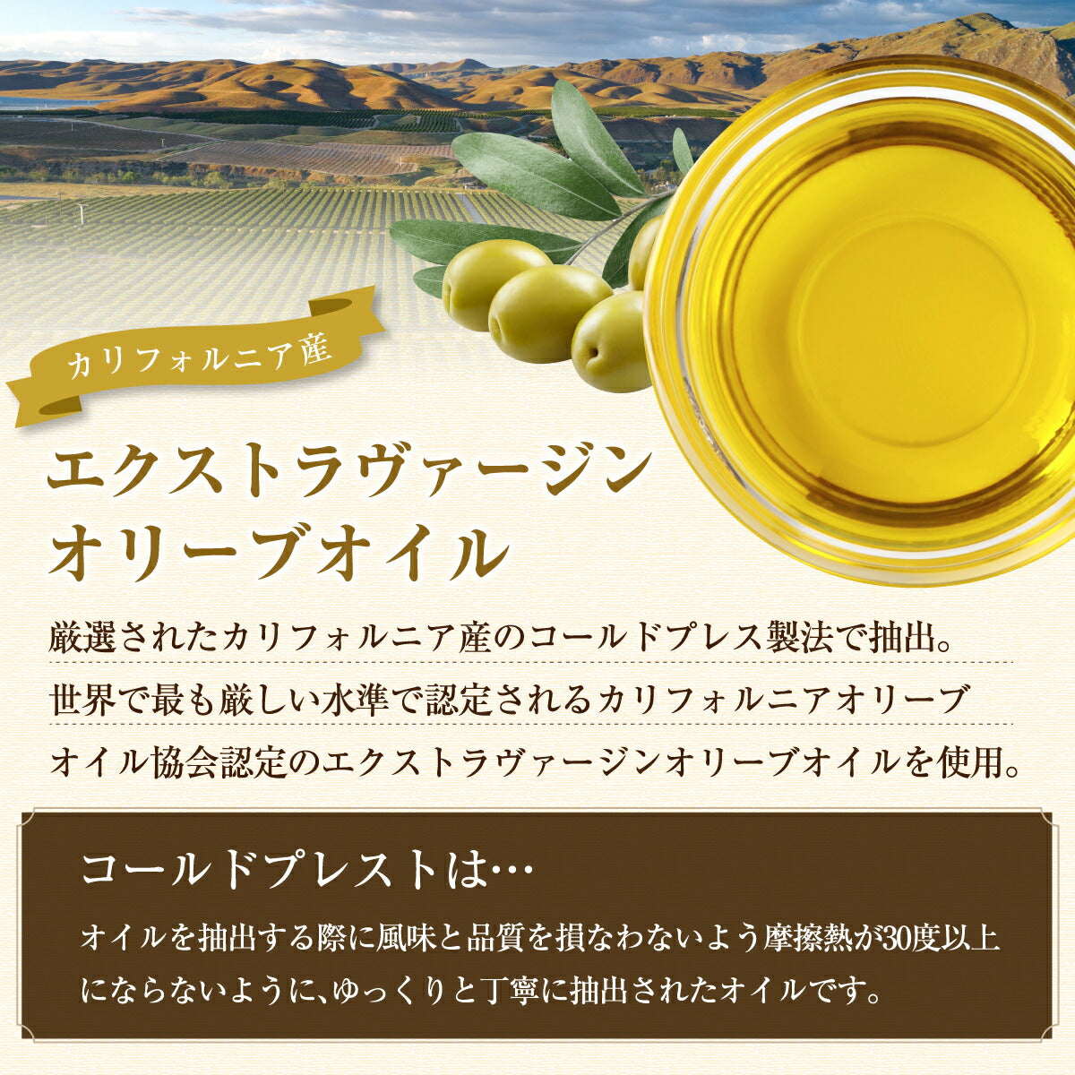 白トリュフオイル 250ml 高級トリュフ 芳醇な香り レインボーファームズ Rainbow Farms White Truffle Oil 4