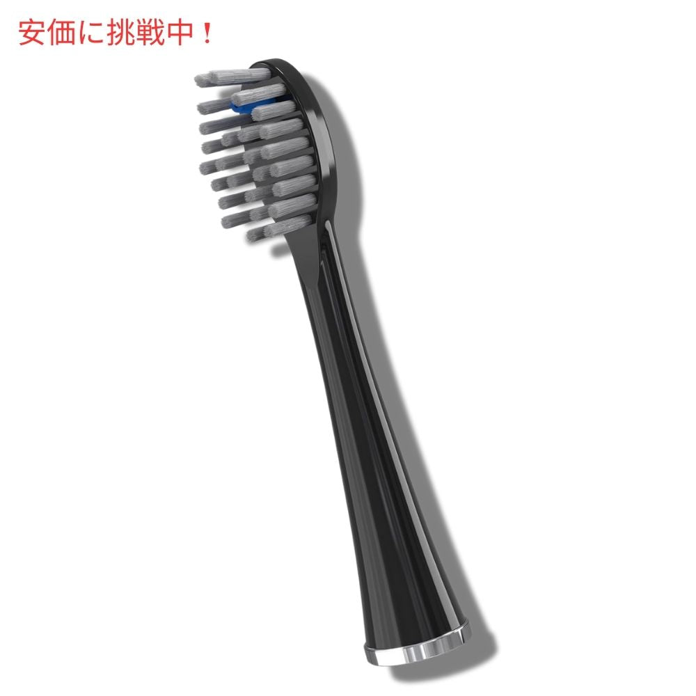 Waterpik ウォーターピック ソニックフュージョン交換用ブラシヘッド 2個入り ブラック Sonic-Fusion Replacement Brush Heads 2pcs Black 2