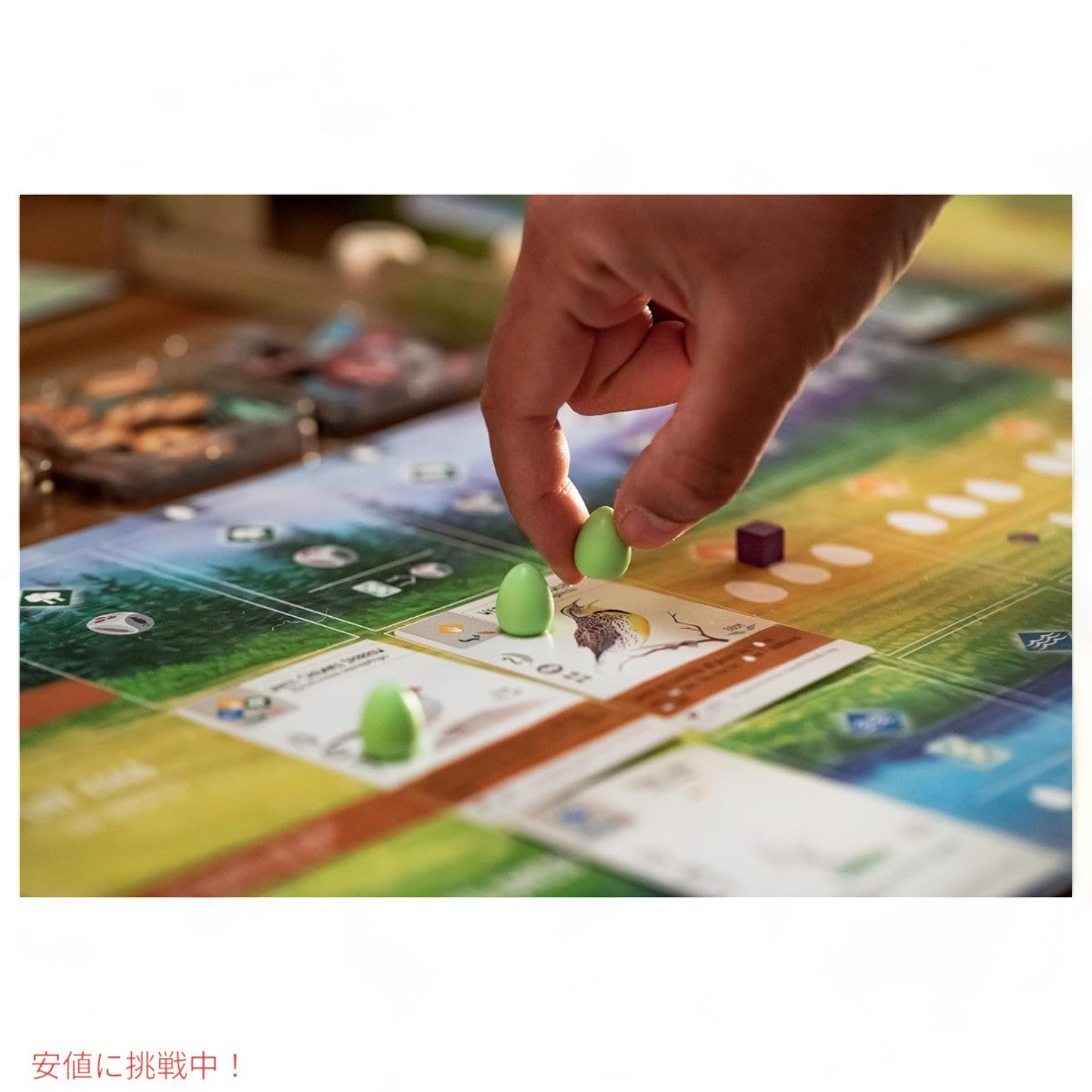 ストーンメイヤー ゲームズ ウィングスパン ストラテジーボードゲーム  Stonemaier Games Wingspan Award-Winning Strategy Board Game 5