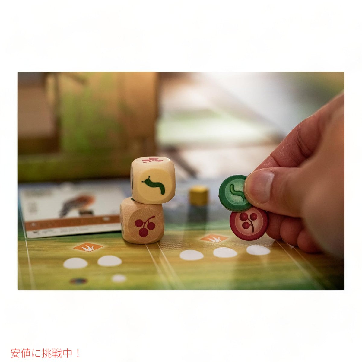 ストーンメイヤー ゲームズ ウィングスパン ストラテジーボードゲーム  Stonemaier Games Wingspan Award-Winning Strategy Board Game 6