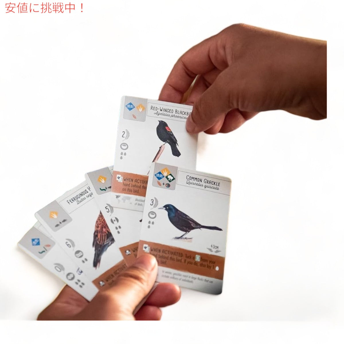 ストーンメイヤー ゲームズ ウィングスパン ストラテジーボードゲーム  Stonemaier Games Wingspan Award-Winning Strategy Board Game 7