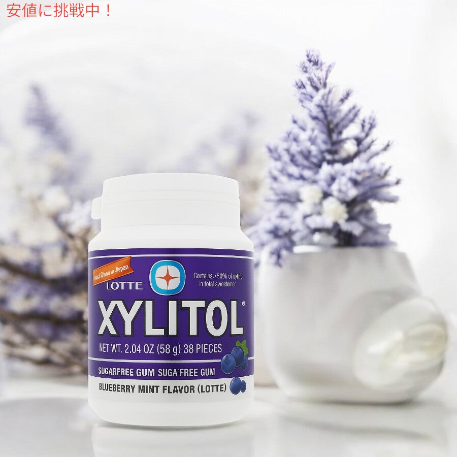 ロッテ Lotte キシリトール ブルーベリーミントガム 58g Xylitol Blueberry Mint Gum 2.04oz（5個パック） 2
