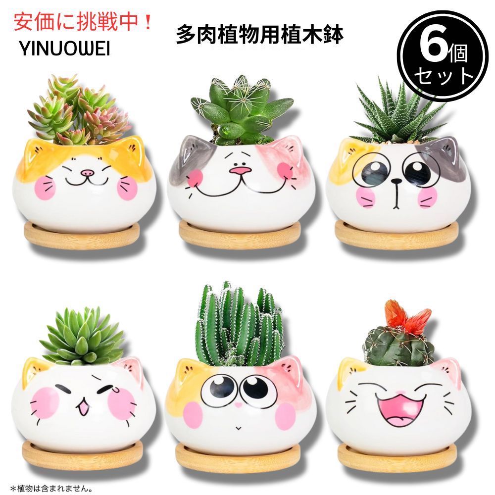 Yinuowei 猫型 多肉植物用ミニ鉢 9.1cm 6個セット 排水穴 竹製トレイ付き （鉢のみ） Mini Cat Succulent Pots with Bamboo Tray 3.6 Inch set of 6 1