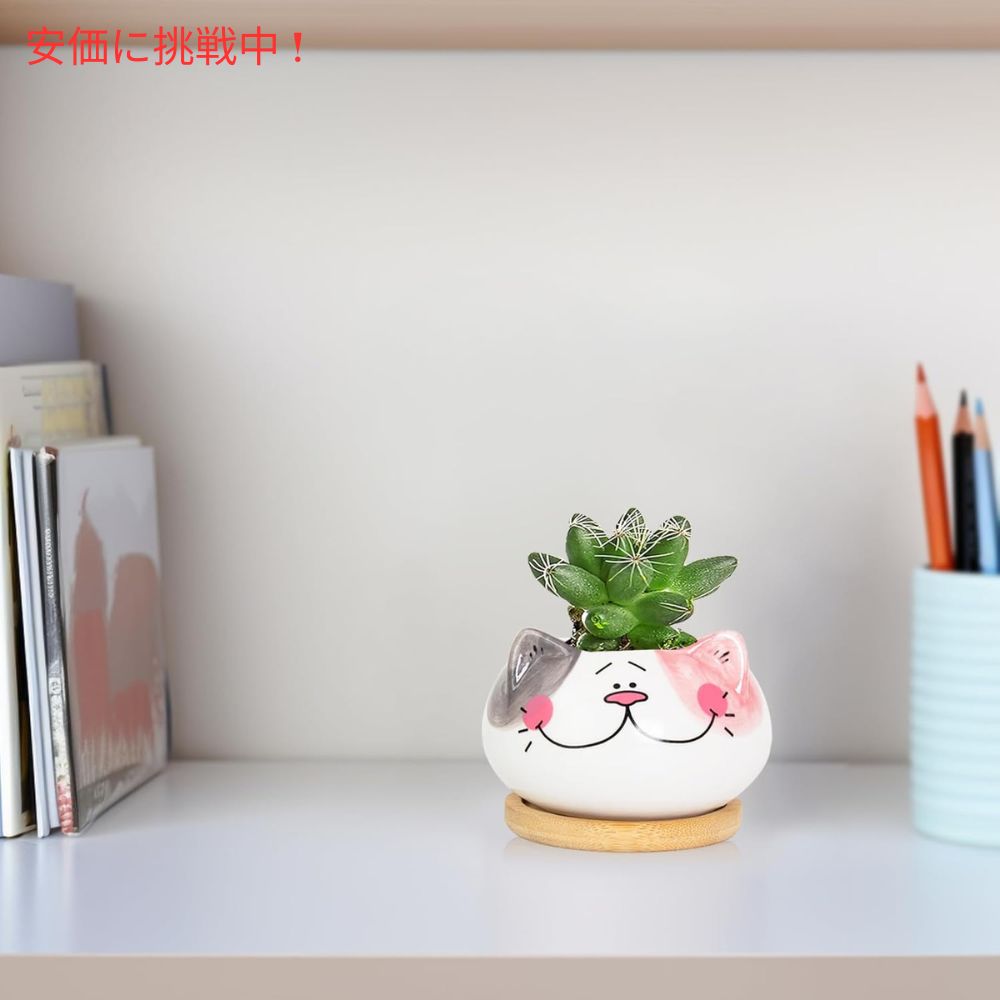 Yinuowei 猫型 多肉植物用ミニ鉢 9.1cm 6個セット 排水穴 竹製トレイ付き （鉢のみ） Mini Cat Succulent Pots with Bamboo Tray 3.6 Inch set of 6 2