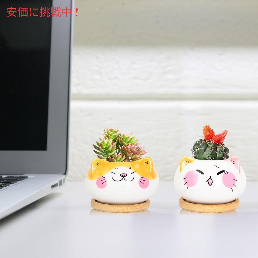 Yinuowei 猫型 多肉植物用ミニ鉢 9.1cm 6個セット 排水穴 竹製トレイ付き （鉢のみ） Mini Cat Succulent Pots with Bamboo Tray 3.6 Inch set of 6 5