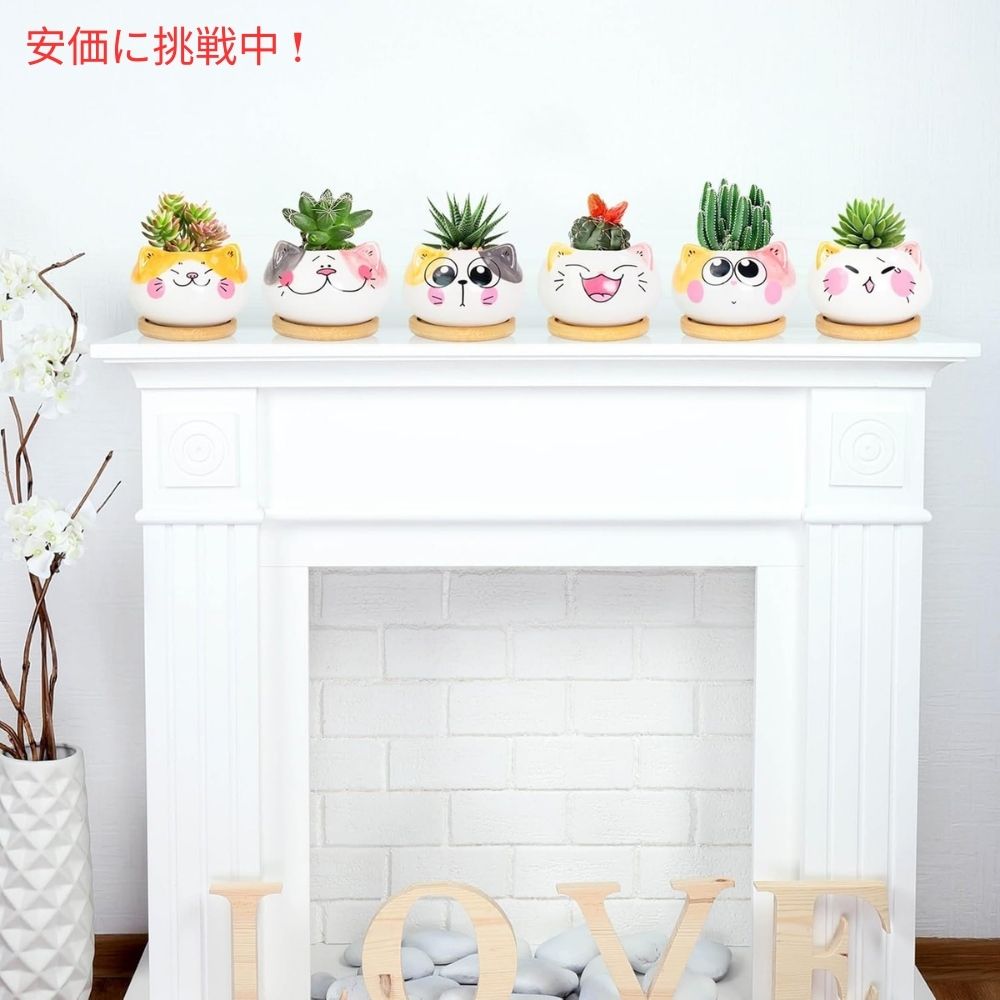 Yinuowei 猫型 多肉植物用ミニ鉢 9.1cm 6個セット 排水穴 竹製トレイ付き （鉢のみ） Mini Cat Succulent Pots with Bamboo Tray 3.6 Inch set of 6 7