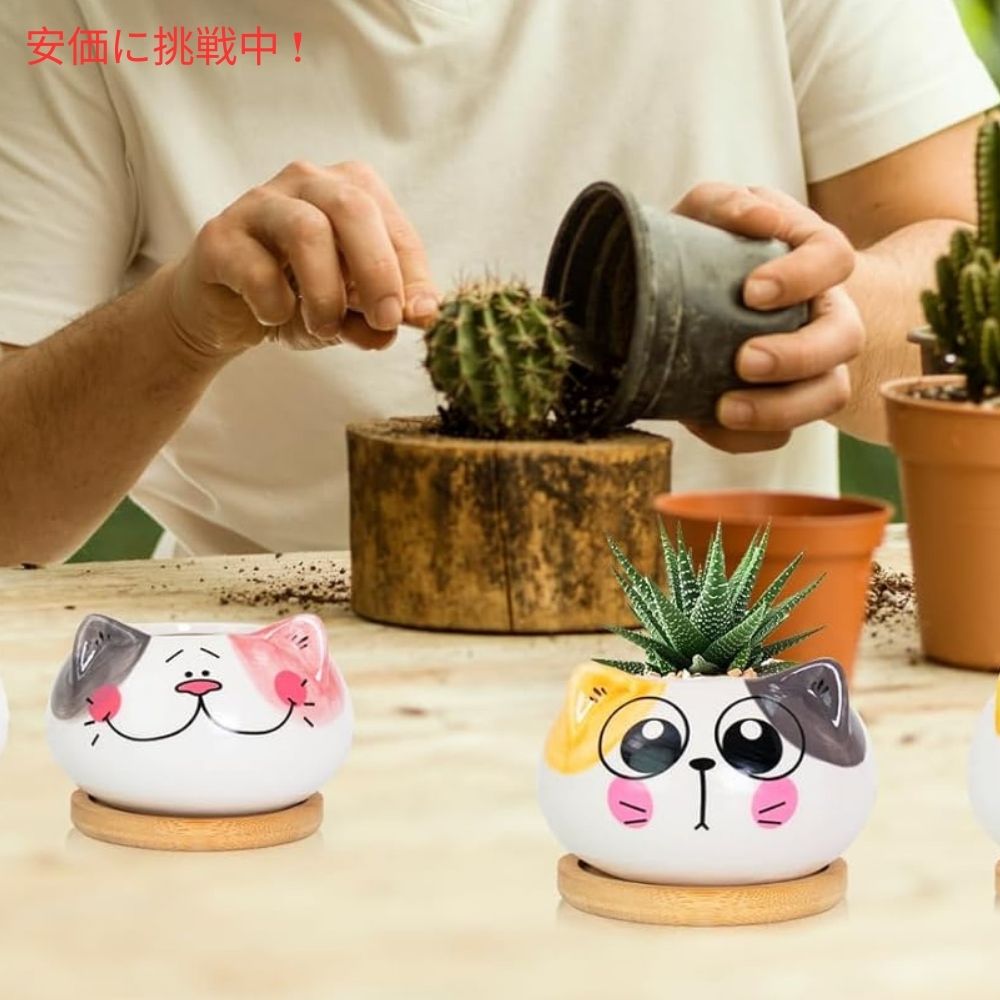 Yinuowei 猫型 多肉植物用ミニ鉢 9.1cm 6個セット 排水穴 竹製トレイ付き （鉢のみ） Mini Cat Succulent Pots with Bamboo Tray 3.6 Inch set of 6 8