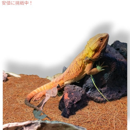 【3枚】ZeeDix ジーディックス 爬虫類カーペット Reptile Carpet 24x48inches [天然ココナッツファイバーペットマット、カメカーペット] 3